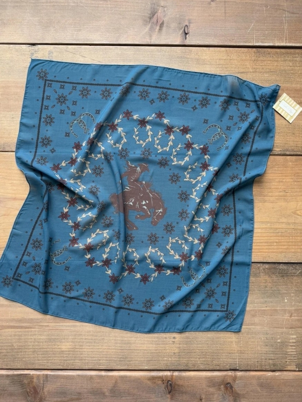 Tasha Polizzi Western Motif  Blue Chiffon Scarf